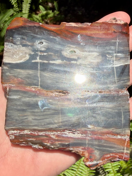 Gorgeous Cherry Creek Jasper Plate