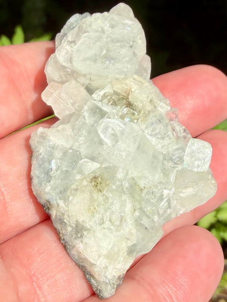 Apophyllite Cluster