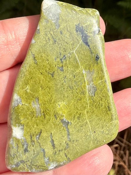 Epidote Palm Stone - Morganna’s Treasures