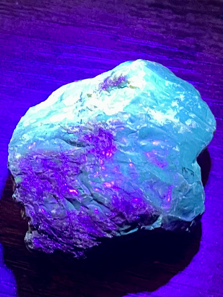 Fluorescent Blue Amber Palm Stone - Morganna’s Treasures 