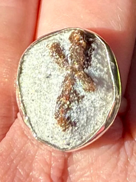Staurolite (Fairy Cross) Ring Size 10 - Morganna’s Treasures