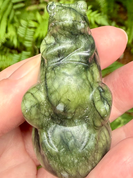 Serpentine Frog