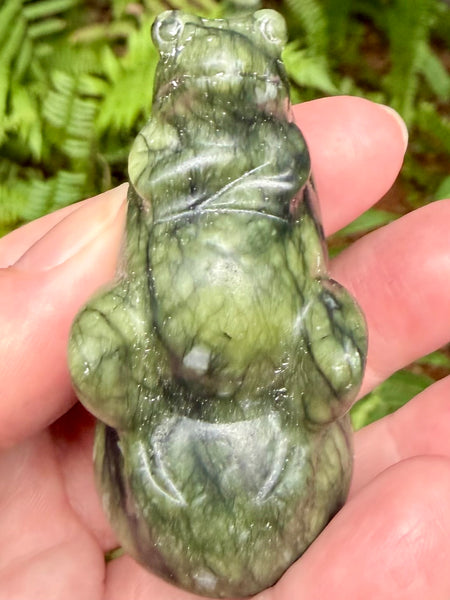 Serpentine Frog