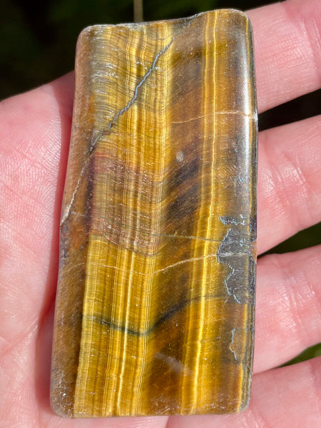 Gold Tigers Eye Palm Stone from Africa - Morganna’s Treasures