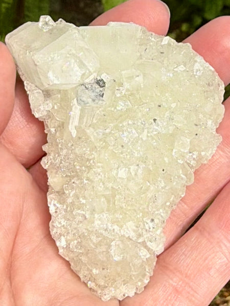 Apophyllite Cluster