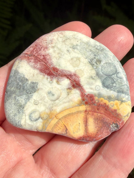 Bird's Eye Rhyolite Palm Stone - Morganna’s Treasures