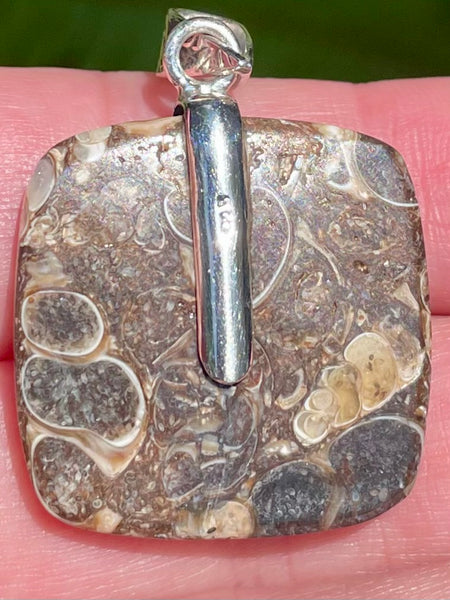 Fairy Turritella Agate Pendant - Morganna’s Treasures 