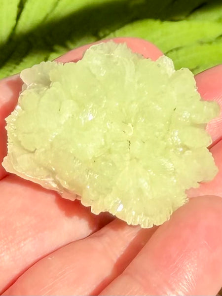 Prehnite Cluster