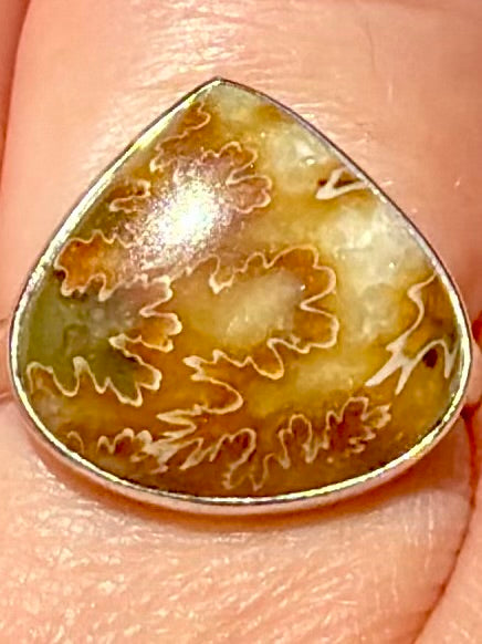 Beautiful Sutured Ammonite Ring Size 7