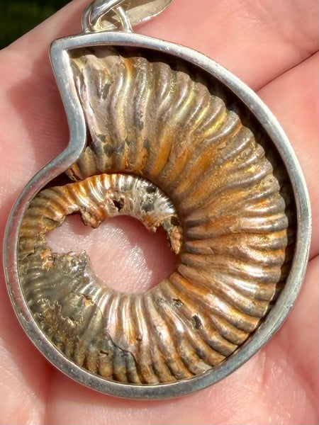 Fossil Quenstedtoceras Pyrite Ammonite Pendant - Morganna’s Treasures