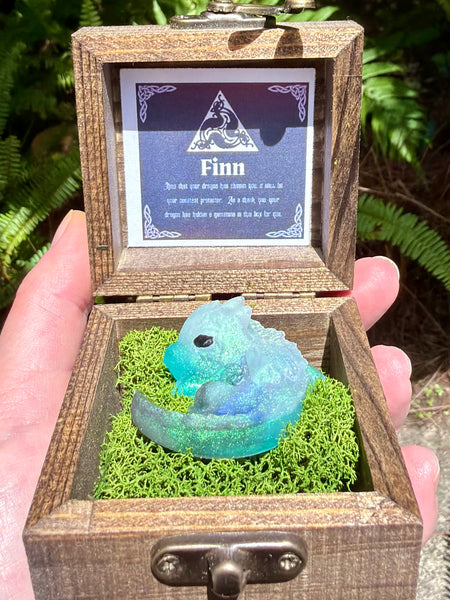 “Finn” Dragon Protector