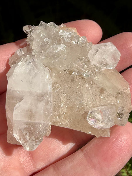Apophyllite Cluster - Morganna’s Treasures