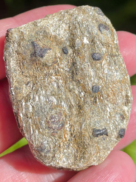 Beautiful Garnet with Mica Schist Palm Stone - Morganna’s Treasures