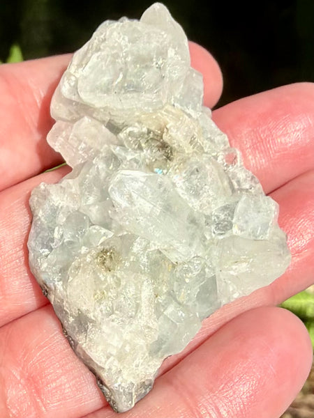 Apophyllite Cluster