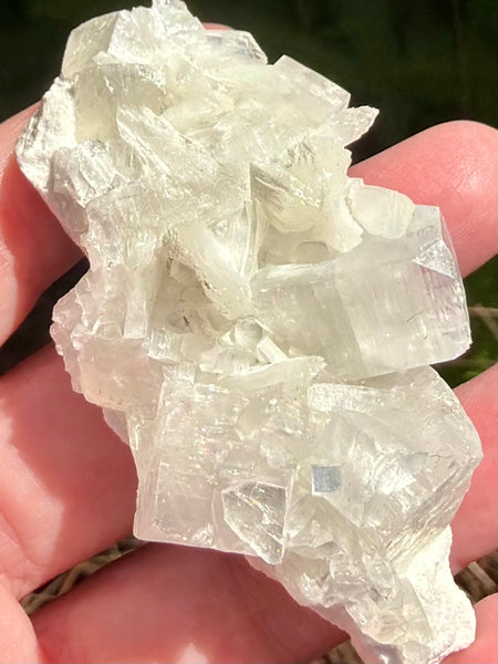 Apophyllite with Stilbite Crystal Cluster - Morganna’s Treasures