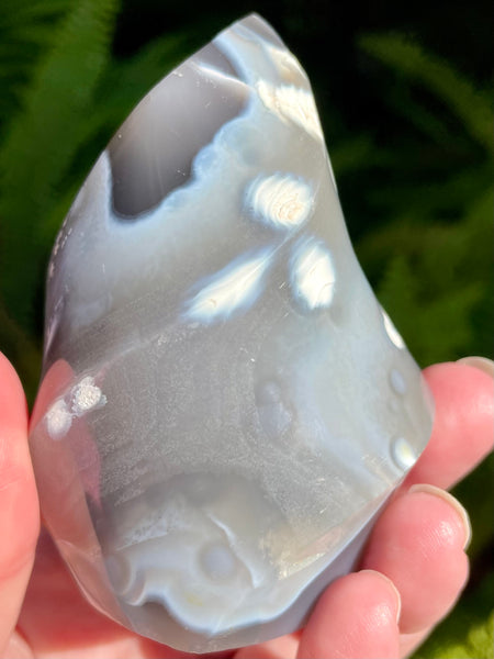 Orca Agate Flame - Morganna’s Treasures