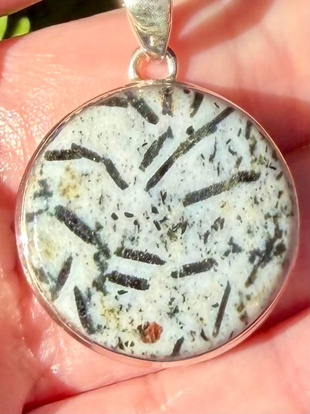 Hornblende Pendant - Morganna’s Treasures