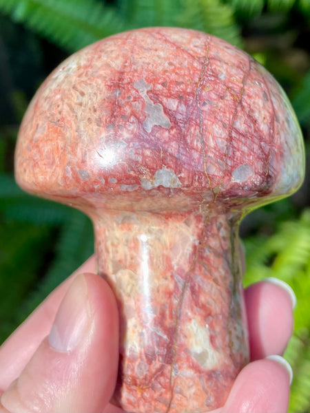 Beautiful Red Moonstone Mushroom - Morganna’s Treasures