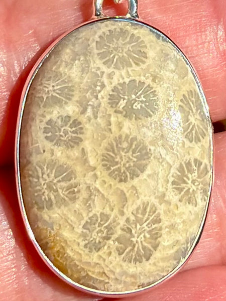 Fossil Coral Pendant