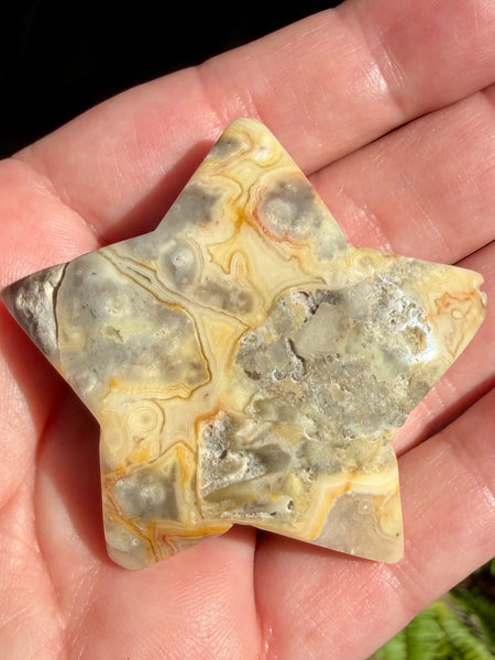 Crazy Lace Agate Druzy Star