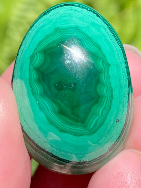 Beautiful Malachite Egg - Morganna’s Treasures