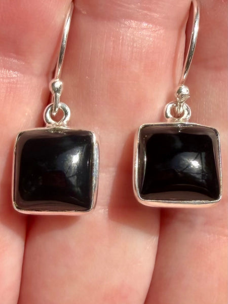 Black Onyx Earrings - Morganna’s Treasures