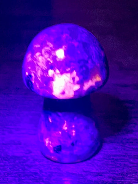 Small Yooperlite (Fluorescent Sodalite) Mushroom