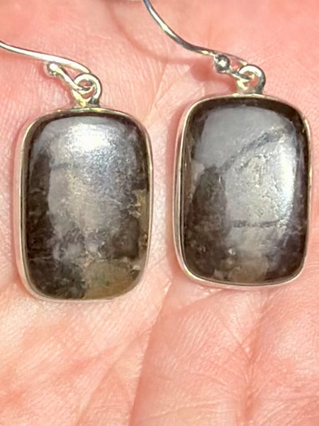 Mountain Jasper Earrings - Morganna’s Treasures