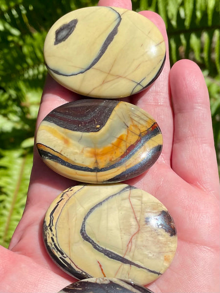 Stunning Tiger Iron Palm Stones from Australia - Morganna’s Treasures 