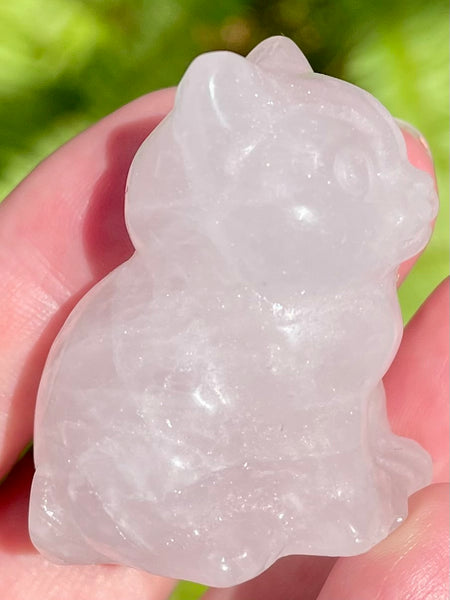 Rose Quartz Carved Cat - Morganna’s Treasures 