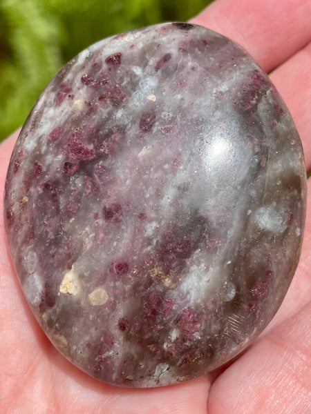 Large Garnet Palm Stone from Madagascar - Morganna’s Treasures 