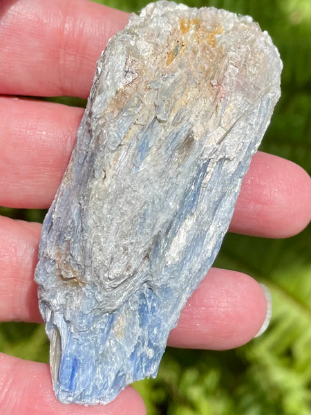 Rough Blue Kyanite - Morganna’s Treasures 