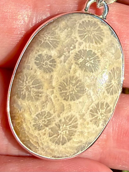 Fossil Coral Pendant