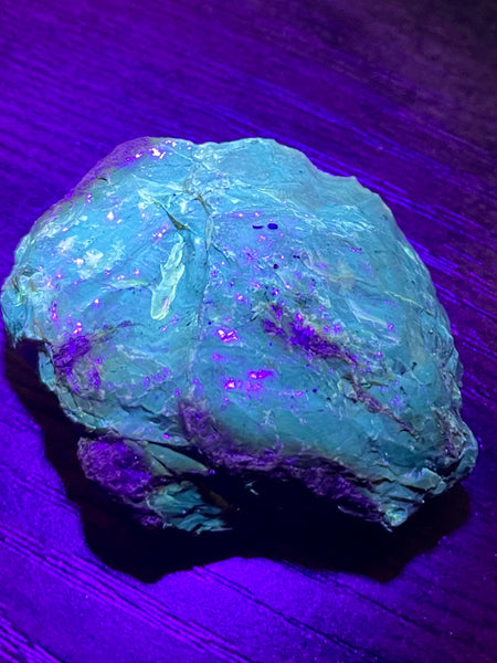 Fluorescent Blue Amber Palm Stone - Morganna’s Treasures 