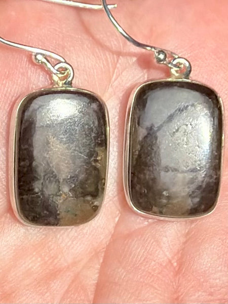 Mountain Jasper Earrings - Morganna’s Treasures