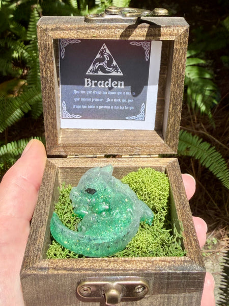 “Braden” Dragon Protector