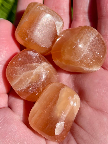 Honey Calcite Tumbled Stones - Morganna’s Treasures 