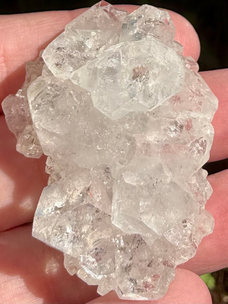 Apophyllite Cluster - Morganna’s Treasures