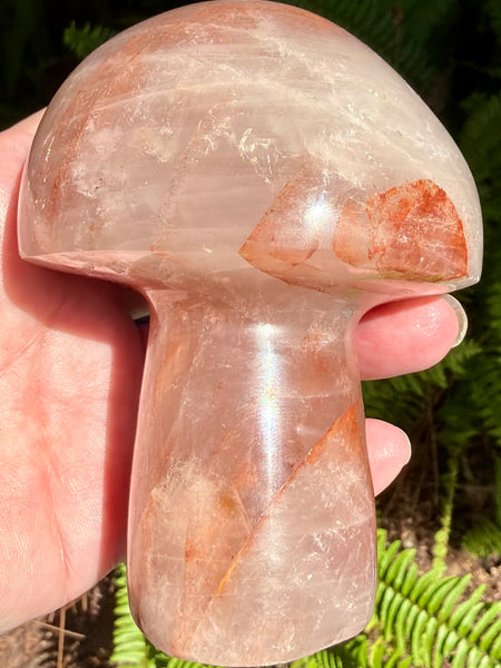 Beautiful Hematoid Quartz Mushroom - Morganna’s Treasures