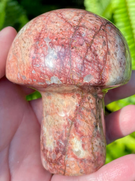 Beautiful Red Moonstone Mushroom - Morganna’s Treasures