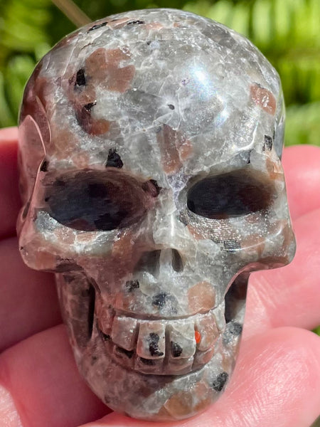 Carved Yooperlite (Fluorescent Sodalite)  Skull - Morganna’s Treasures 