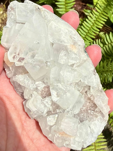Apophyllite Cluster
