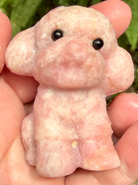 Pink Opal Poodle with Black Tourmaline Eyes