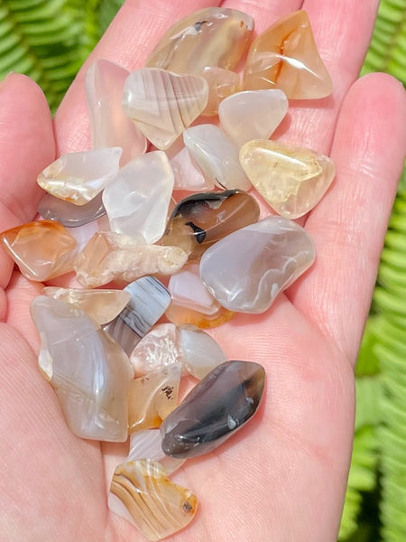 Small Flower Agate Tumbled Stones - Morganna’s Treasures 