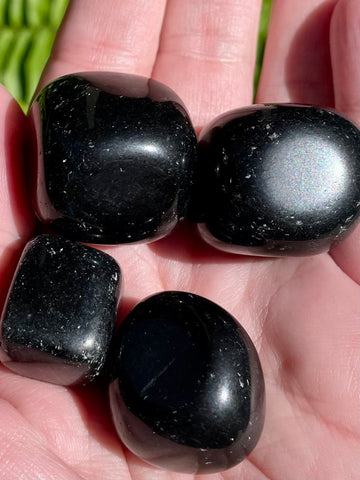 Black Obsidian Tumbled Stones - Morganna’s Treasures 