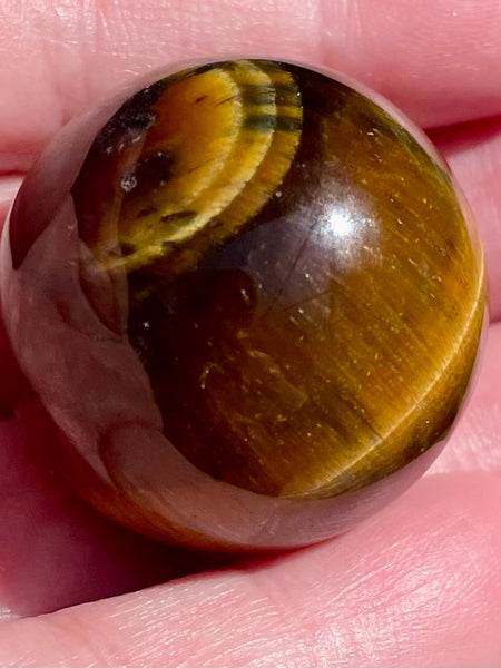 Tigers Eye Sphere - Morganna’s Treasures 