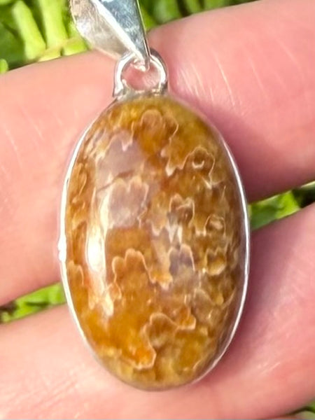 Sutured Ammonite Pendant - Morganna’s Treasures