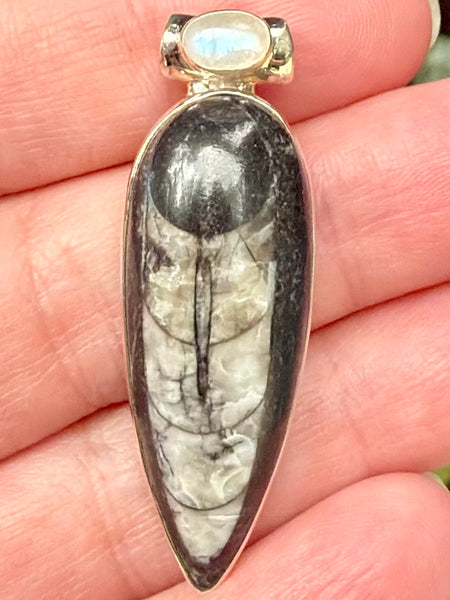 Gorgeous Orthoceras Fossil and Rainbow Moonstone Pendant - Morganna’s Treasures