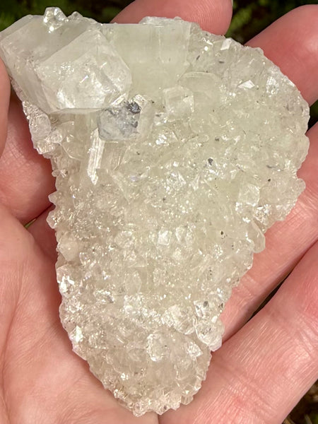 Apophyllite Cluster