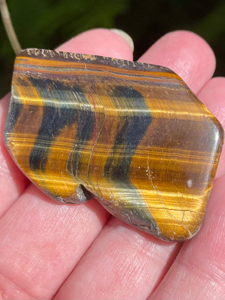 Gold Tigers Eye Palm Stone from Africa - Morganna’s Treasures